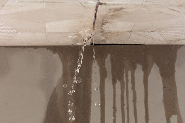 Professional Water Extraction technician working in Ettrick, VA